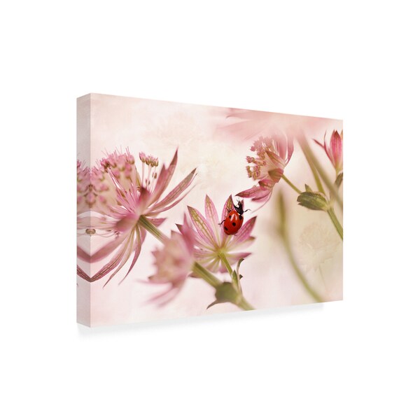 Ellen Van Deelen 'Ladybird And Pink Flowers' Canvas Art,12x19